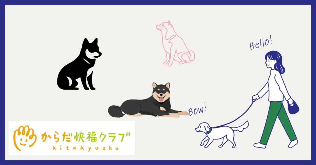 柴犬の関節・筋肉トラブル対策｜歩き方・環境・やさしいケアの完全ガイド